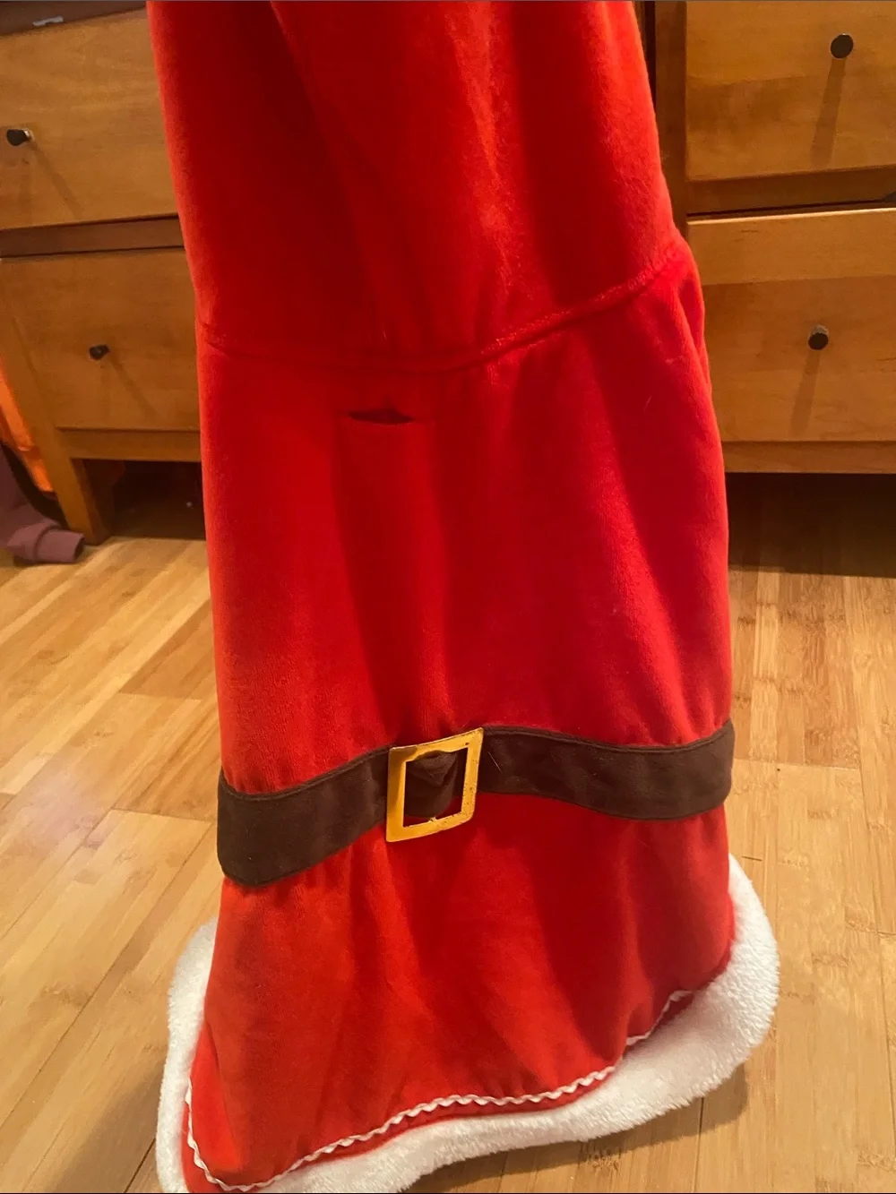 Dog Red Santa Costume Coat with White Trim